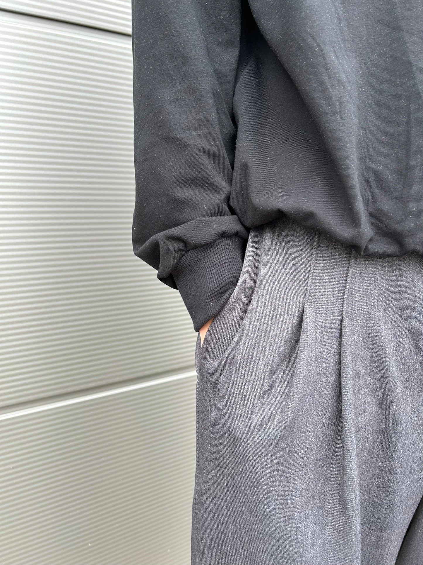 Pleated pants Friedrich